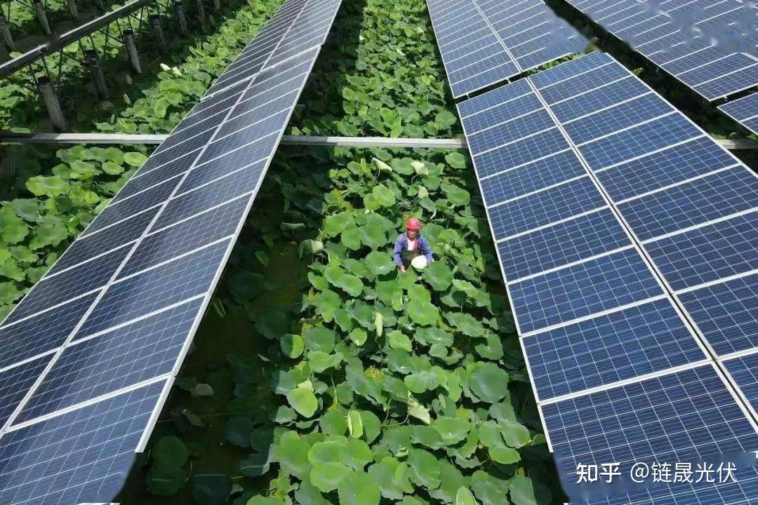 冯祝华:立足全产业链做分布式光伏解决方案专家(图1)
